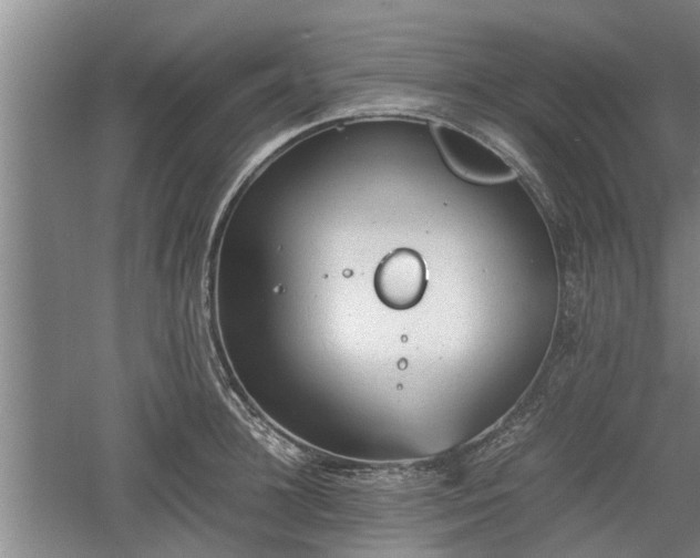 X0000060550948200511101534