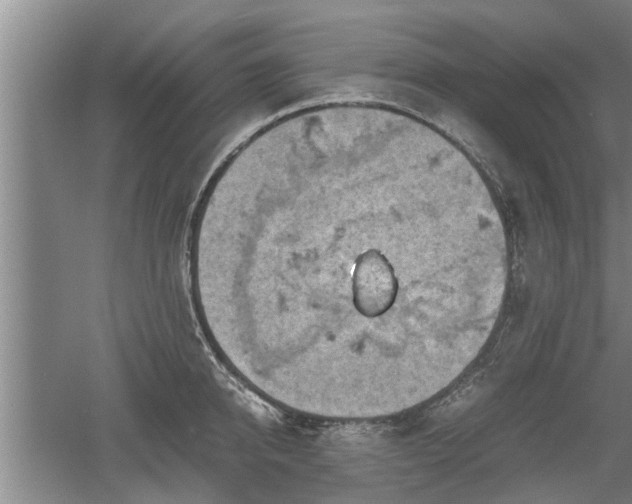 X0000060550950200511101534