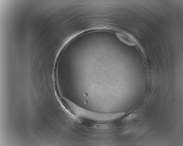 X0000060550951200511101534