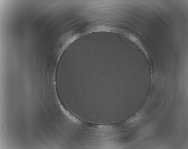 X0000060550954200511101534