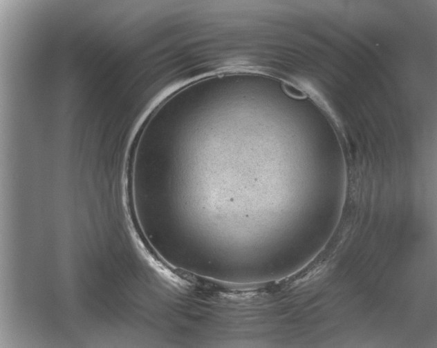 X0000060550955200511101534