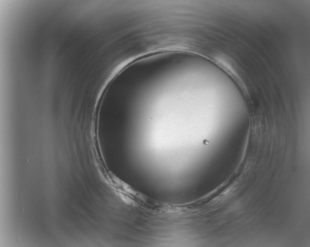 X0000060550956200511101534