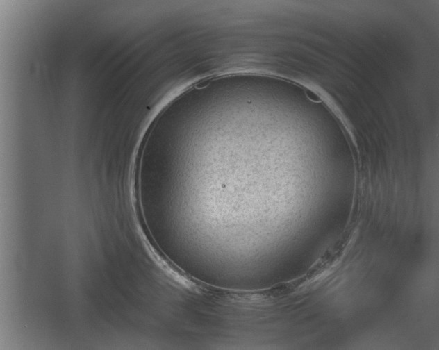 X0000060550957200511101534