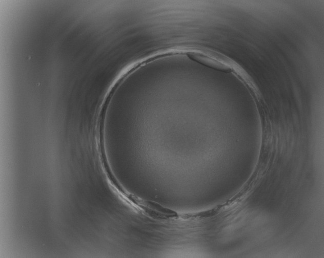 X0000060550958200511101534