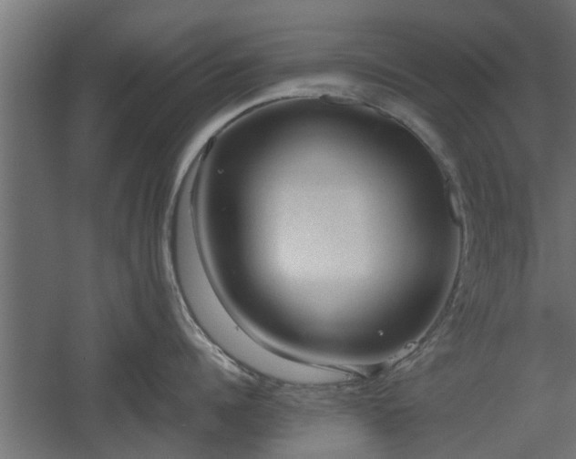 X0000060550960200511101534