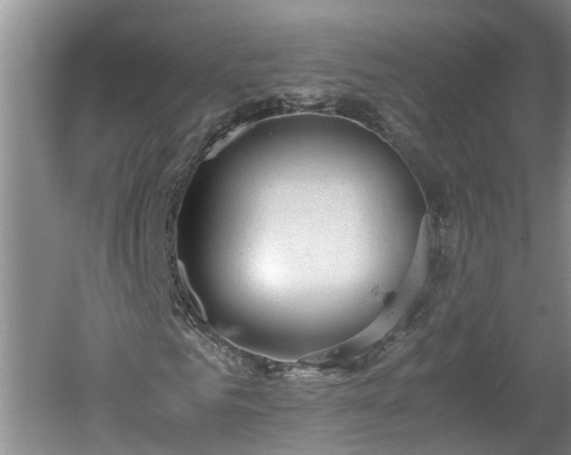 X0000060550961200511101533