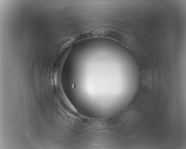 X0000060550962200511101533