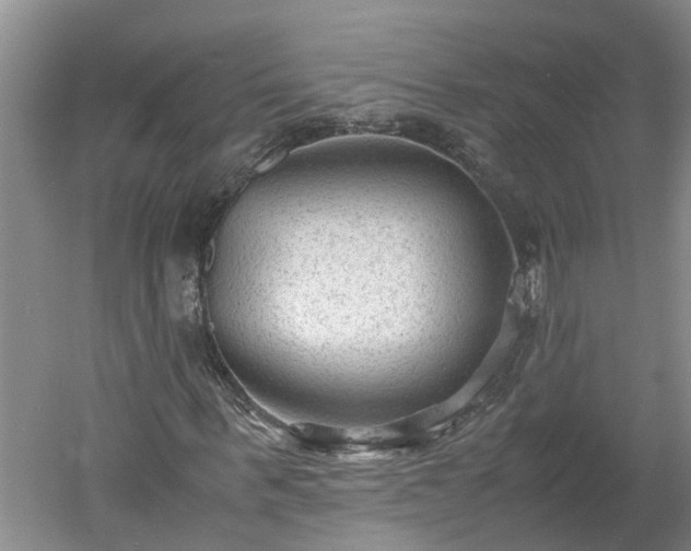 X0000060550963200511101533