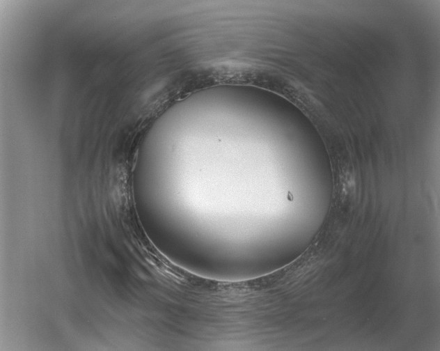 X0000060550964200511101533