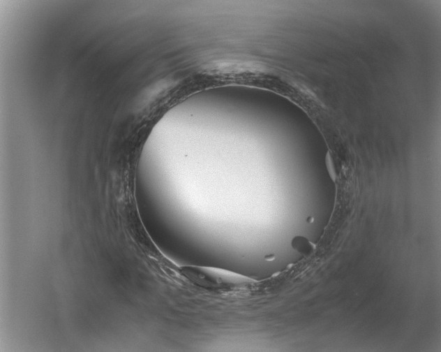 X0000060550965200511101533