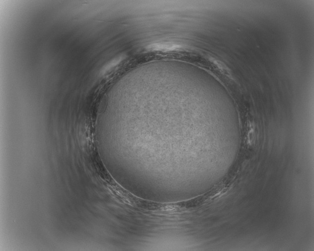 X0000060550966200511101533