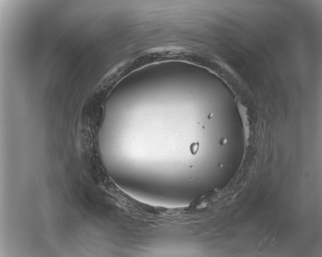 X0000060550967200511101533