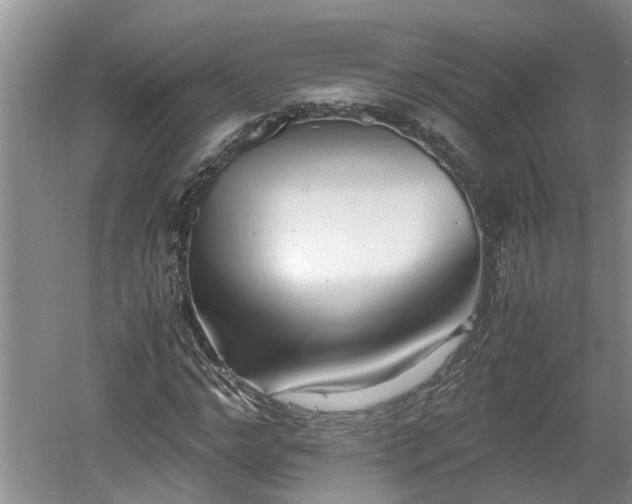 X0000060550968200511101533