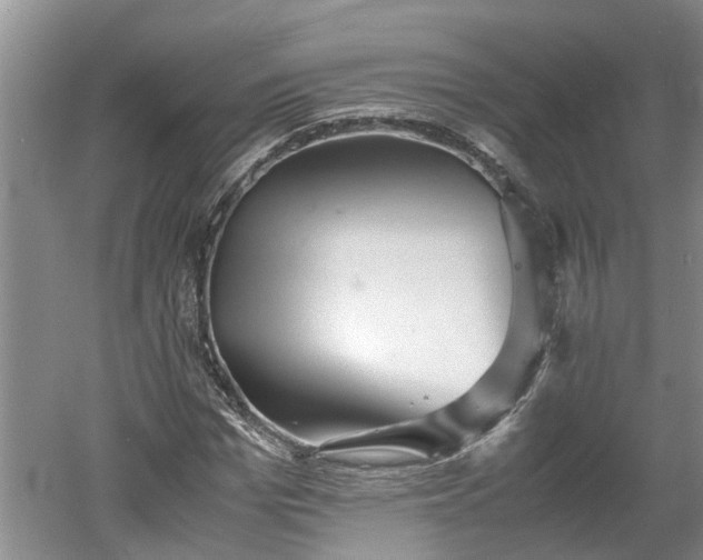 X0000060550969200511101533