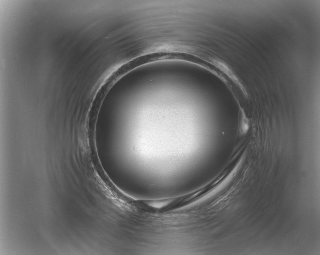 X0000060550972200511101533