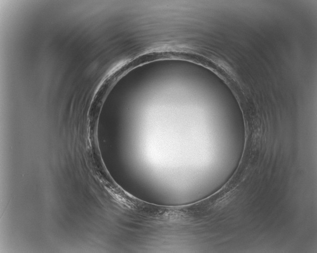 X0000060550974200511101533