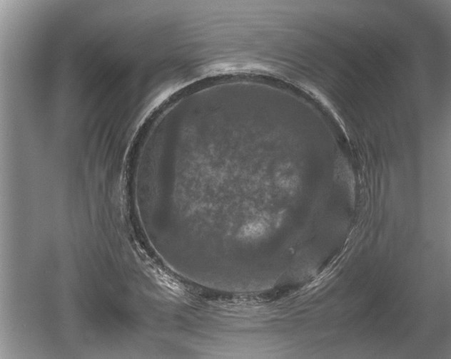 X0000060550975200511101533