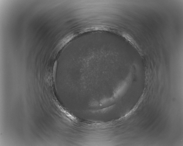 X0000060550977200511101533