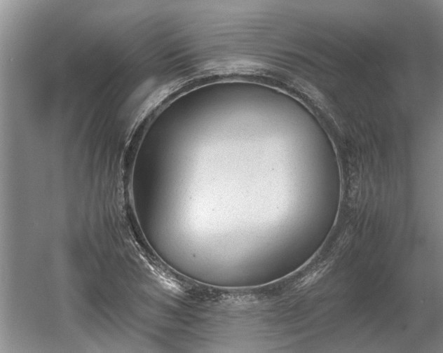 X0000060550978200511101533