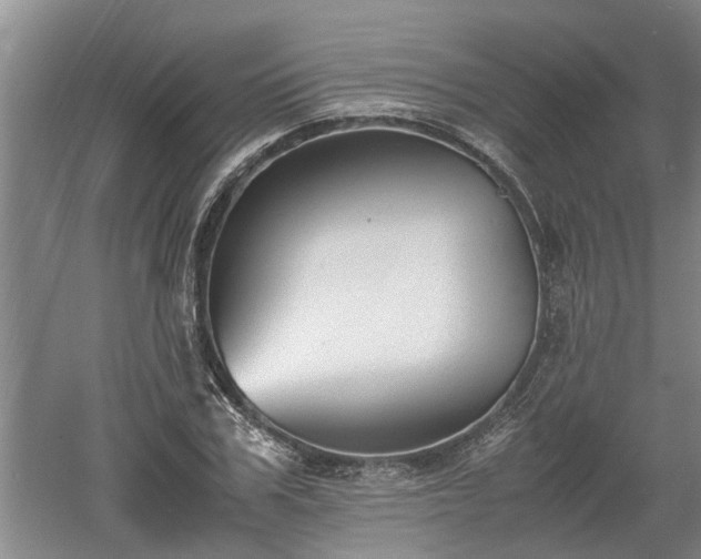 X0000060550979200511101533