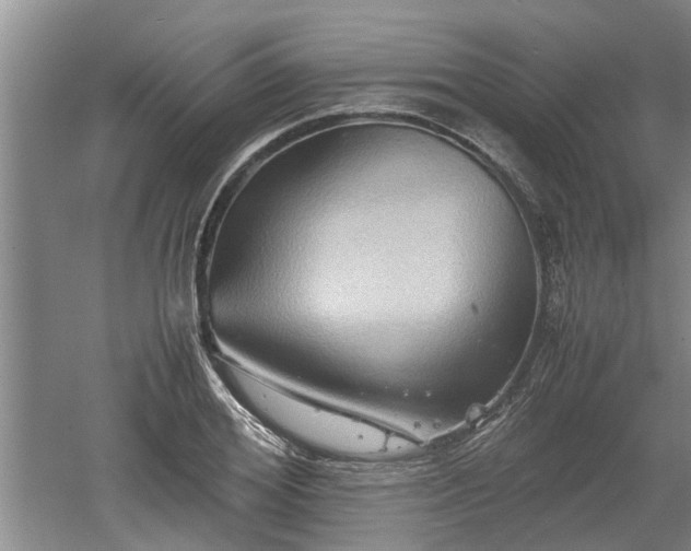 X0000060550980200511101533