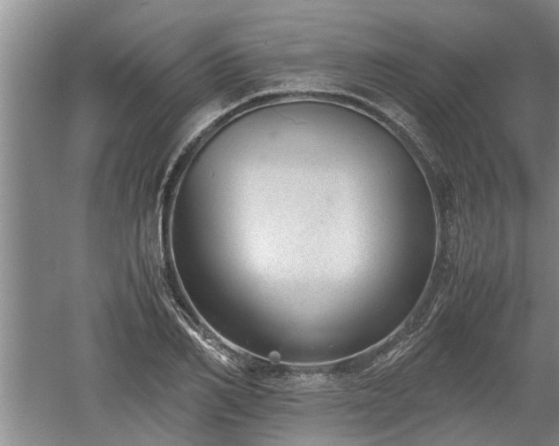 X0000060550982200511101533