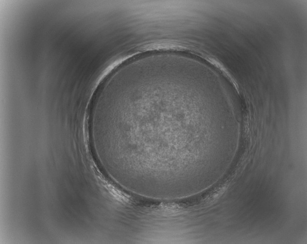 X0000060550983200511101533