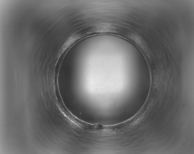 X0000060550986200511101533