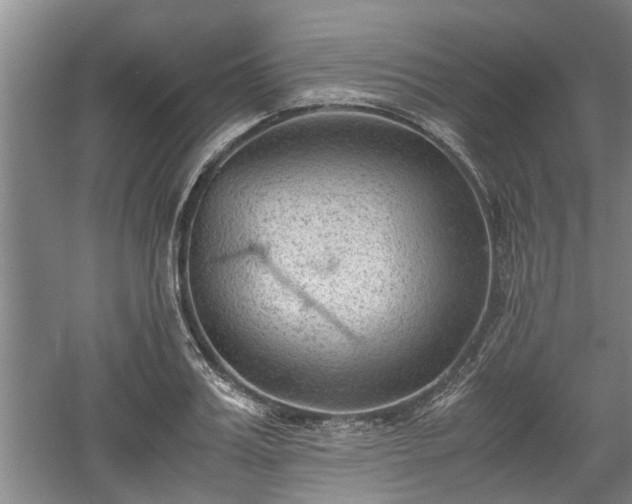 X0000060550987200511101533