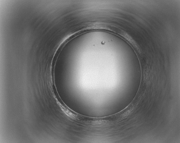 X0000060550988200511101533