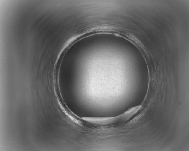 X0000060550989200511101533