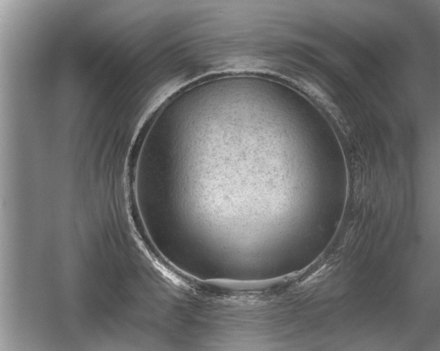 X0000060550990200511101533