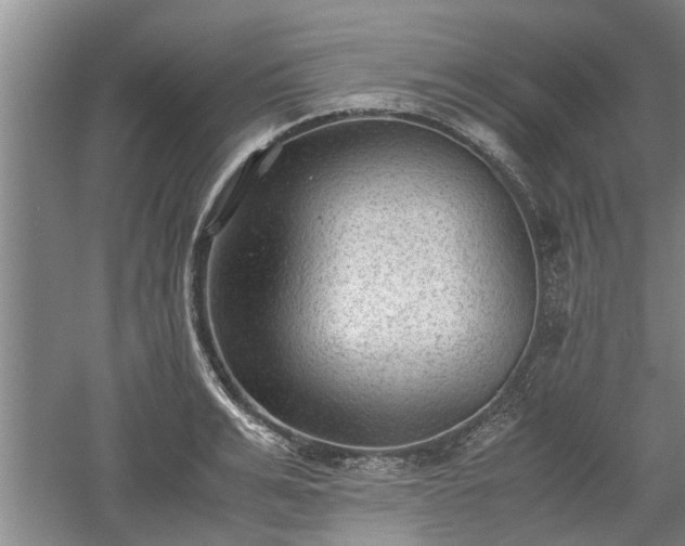 X0000060550991200511101533