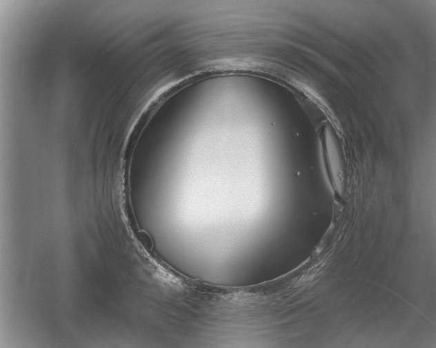 X0000060550992200511101532