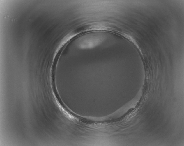 X0000060550995200511101532