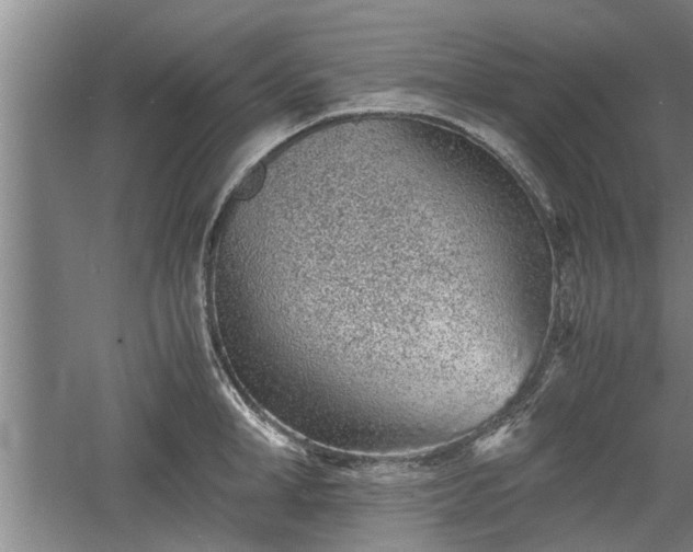 X0000060550998200511101532