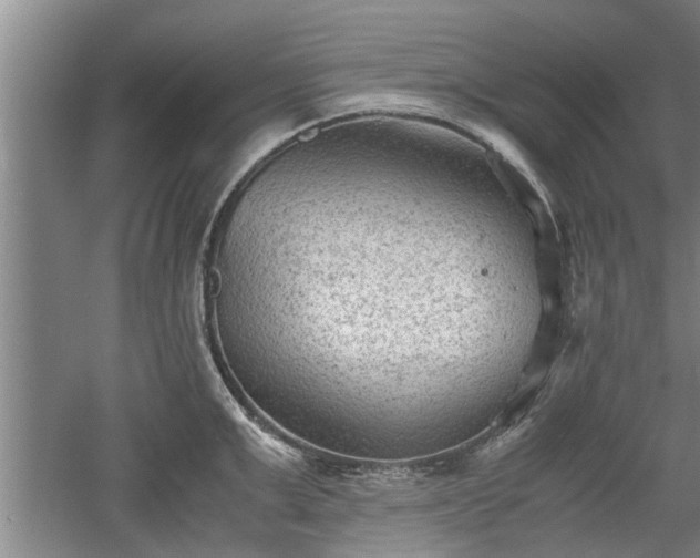 X0000060550999200511101532