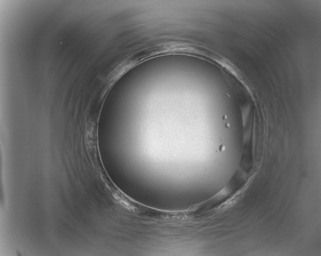 X0000060551001200511101532