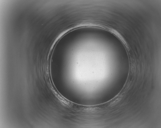 X0000060551004200511101532