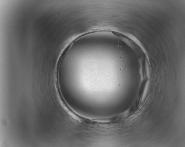 X0000060551005200511101532