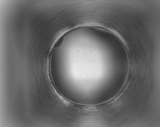 X0000060551006200511101532