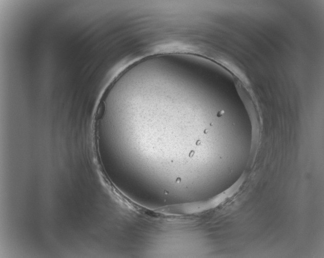 X0000060551008200511101532