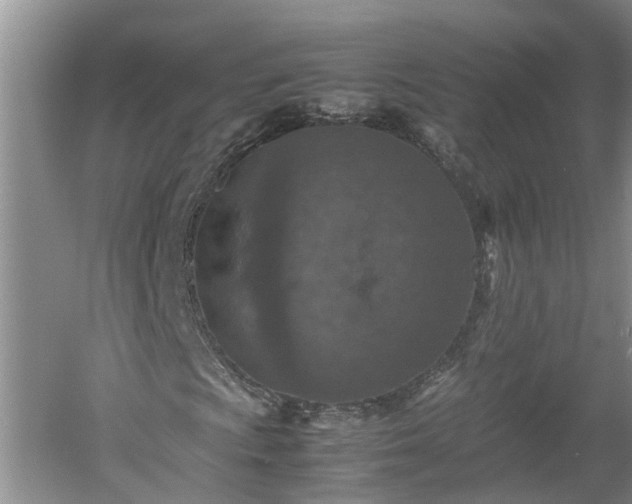 X0000060551009200511101531