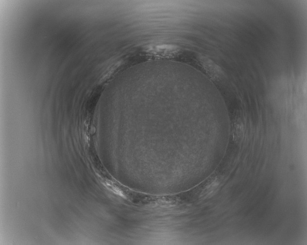 X0000060551010200511101531