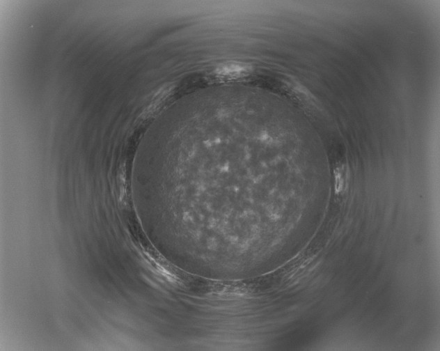 X0000060551011200511101531