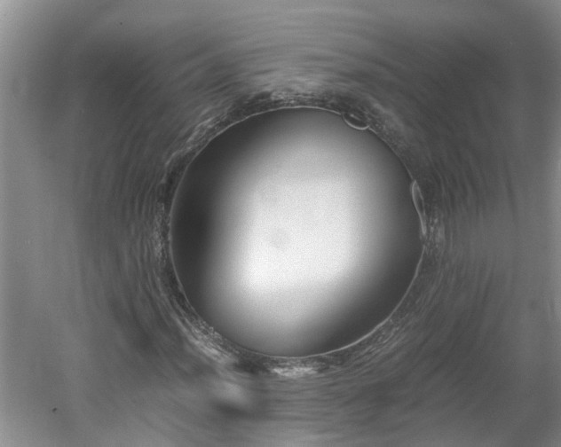 X0000060551012200511101531