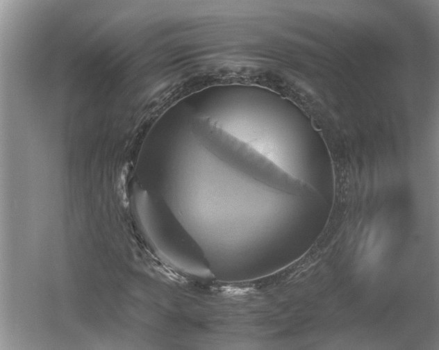 X0000060551013200511101531