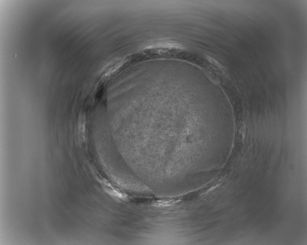 X0000060551014200511101531