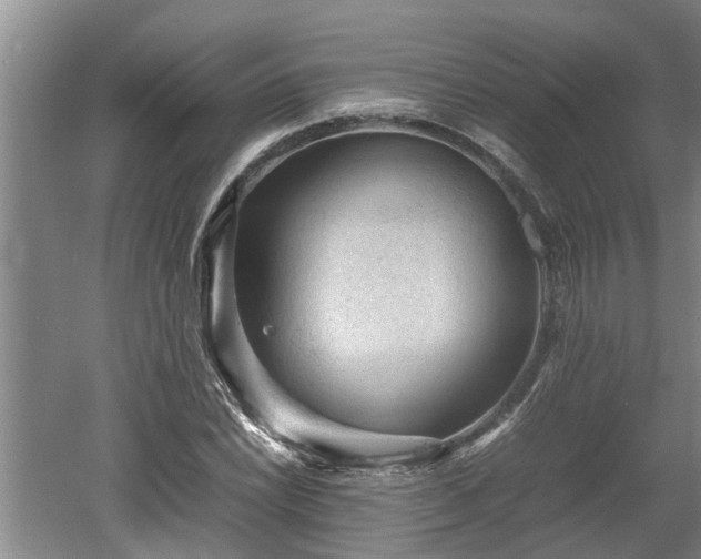 X0000060551022200511101532