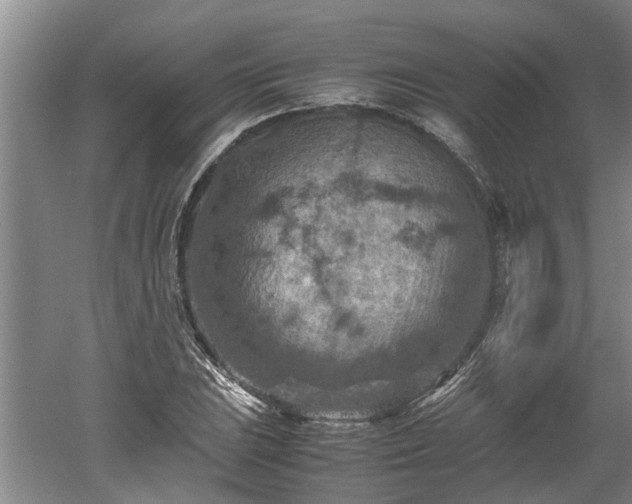 X0000060551023200511101532